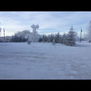 Meet your Posher, Barbara